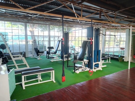 Gym Lesson(1 hour)
