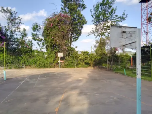 Basketball Court